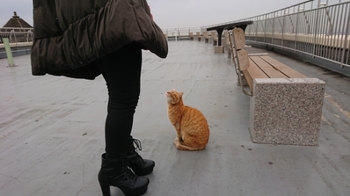 20180301180157281.jpg